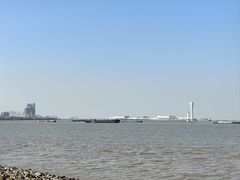 -上海滨江森林公园