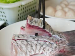 -正能量脆肉鲩火锅