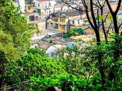 -佛山华盖山公园