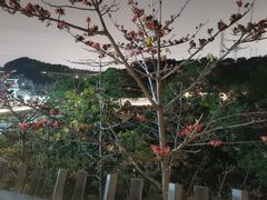 -福道