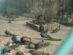 -南京金牛湖风景区