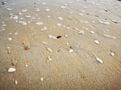 -湄洲岛
