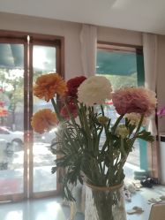 -Dr.林醫生产后修复·配方产康店(南京大厂店)