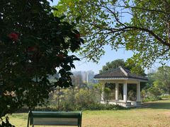 -南沙蒲洲花园