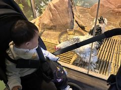 -苏州海洋馆