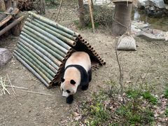 -杭州动物园