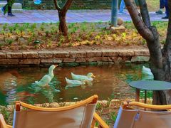 -春风习习