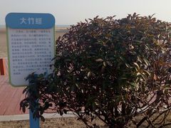 -刘家湾赶海园