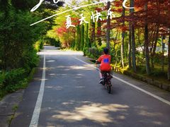 -轻井泽王子购物广场