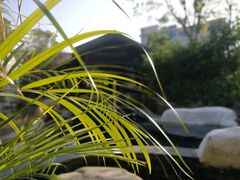 -凤翔首邑温泉度假村