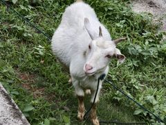 -敬亭山风景名胜区