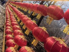 -北京凤凰岭