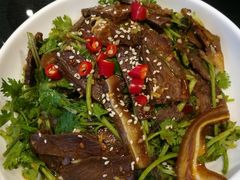 凉拌牛肉顺风-刘胖子家常菜·蹄花焖藕(中南店)