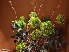 -泰·菩提树下[泰式按摩x精油SPAx肩颈头疗](新景店)