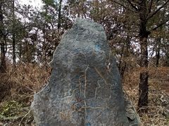 -黑龙潭公园
