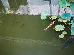 -大妙火锅·非物质文化遗产(东湖公园店)