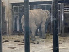 -新疆天山野生动物园