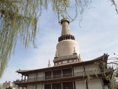 -张掖大佛寺景区