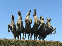 -洛阳周王城天子驾六博物馆