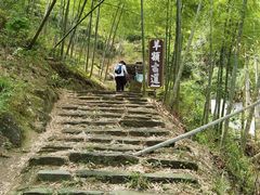 -四明山国家森林公园