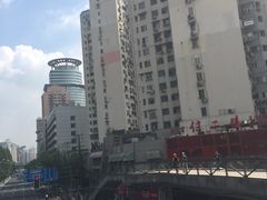 -洋洋锅贴