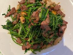 香菜摔打鲜牛肉-桂满陇·杭州饭店(清河万象店)
