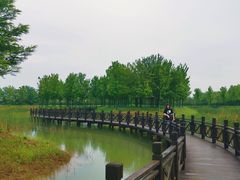 -泗洪洪泽湖湿地景区