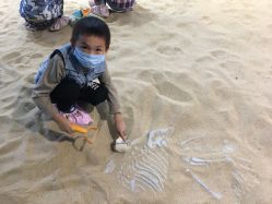 -恐龙探索乐园(磁器口店)