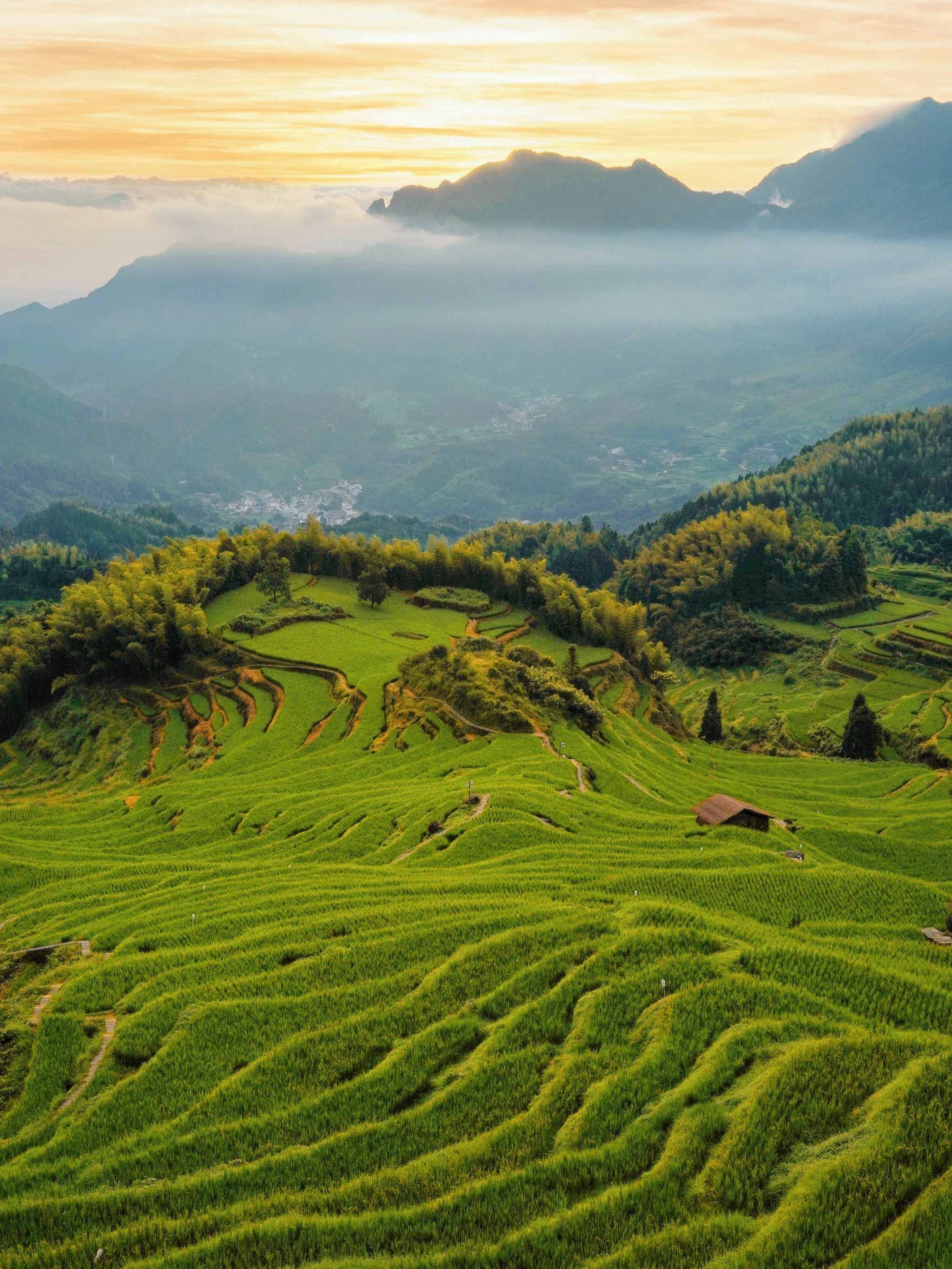 云和梯田最佳旅游时间图片