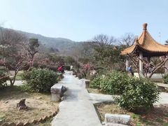 -雨花胜境