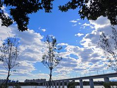 -永定河休闲森林公园