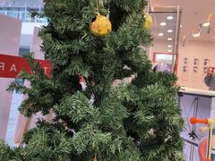 -蕃茄田艺术•美术绘画 •硬笔书法(滨江海威领界店)