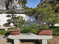 -上海醉白池公园