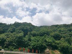 -牛背梁国家森林公园