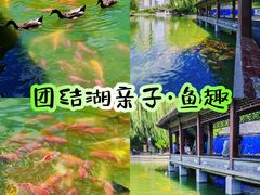 -团结湖公园