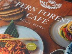 -Fern Forest Cafe
