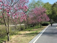 -采石矶景区