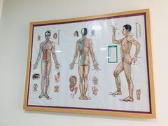 -杏林康桥中医正骨·体态矫正·跌打损伤·推拿按摩(国贸建外SOHO店)