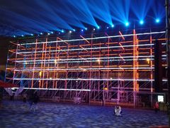 -锦江乐园舞狸花花游园会(夜场专享)