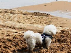 -东戴河风景区-止锚湾