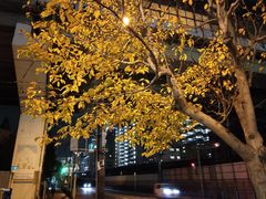 周边街景-天王寺公园
