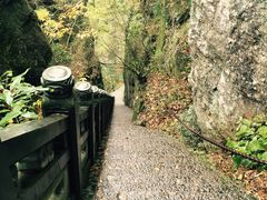 -东天目山风景区