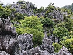 -千岛湖石林