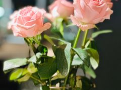 -MONICH牛排融合餐厅(和义大道购物中心店)