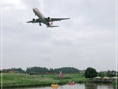-空港花田景区