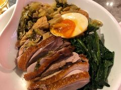 金奖卤鹅肉饭-陈鹏鹏潮汕菜(宝安机场T3航站楼店)