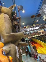 -卡通尼·Safari非洲探索乐园·生日会(金桥国际商业广场店)