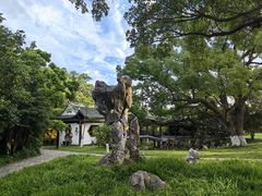 -江心屿景区