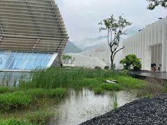 -中国宣纸文化园