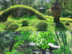 -沈阳植物园